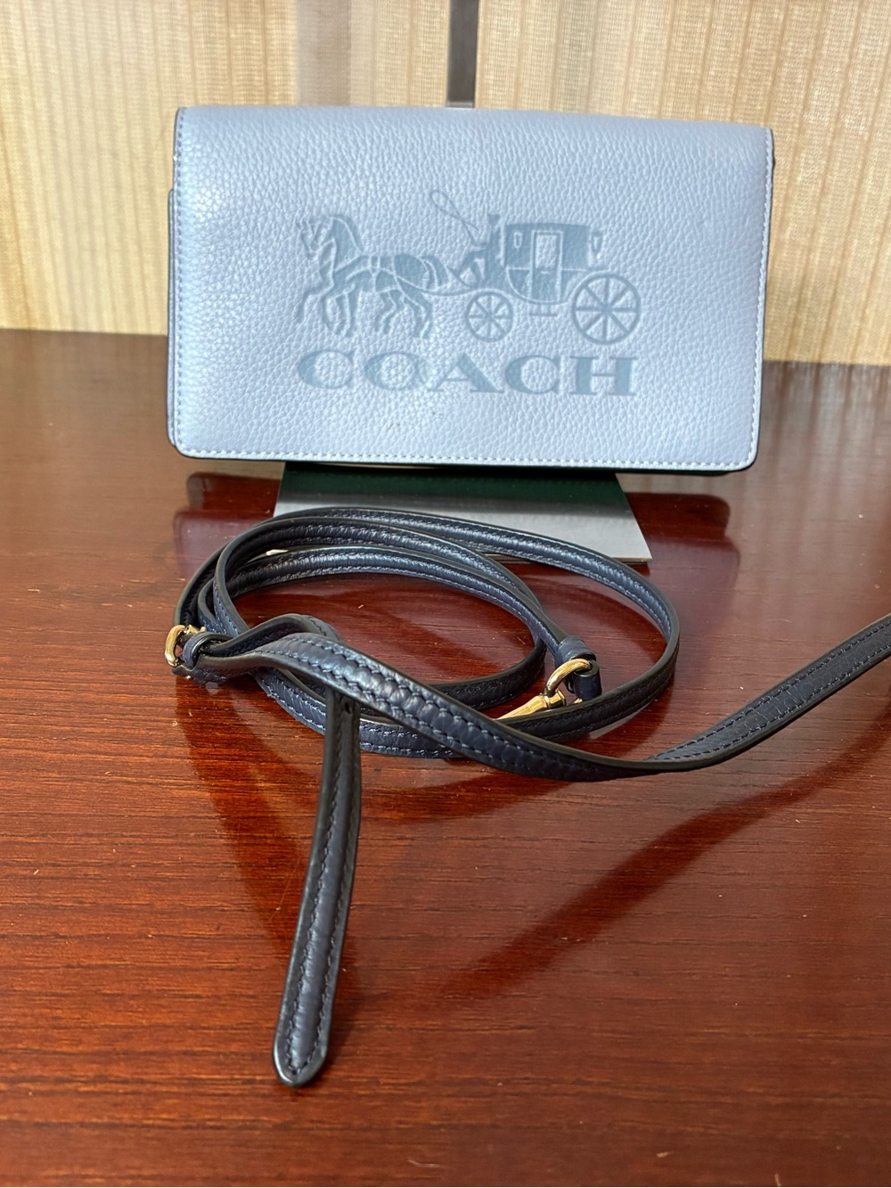 Coach Anna Foldover Crossbody